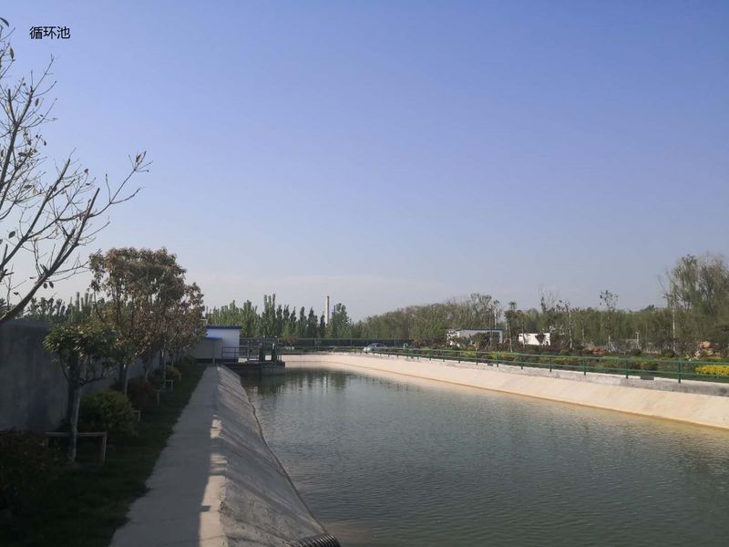 Chiny Shandong Xingshun New Material Co., Ltd. Profil spółki 
